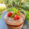 Mousse al cacao con lamponi